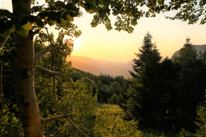 Descubra o que fazer quando se compra imóvel em Área de Preservação Ambiental sem saber